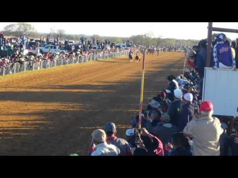 Show carrerero...gato americano vs Panamá wes