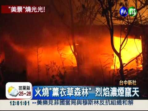 "薰衣草森林"失火 毀百坪咖啡廳