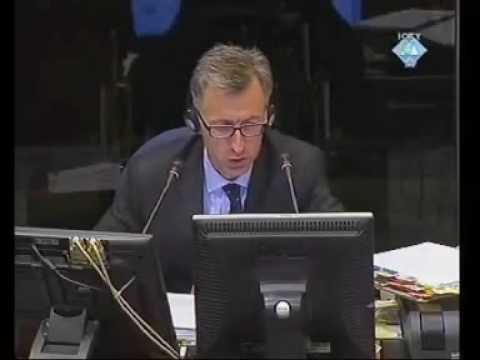 ICLB - The Cross-examination of an Expert Witness, The Prosecutor v Gotovina et al.