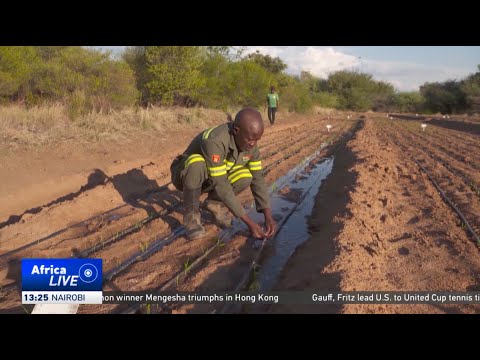 Botswana rice farmers welcome drought-resistant varieties from China