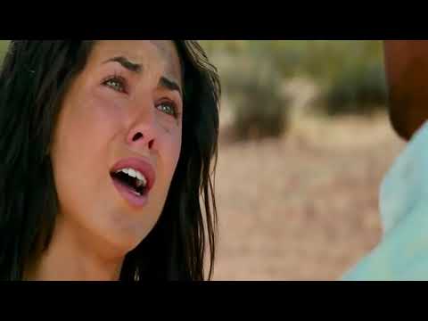 Zingarella   Darko Domijan