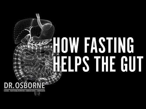 How fasting helps the gut
