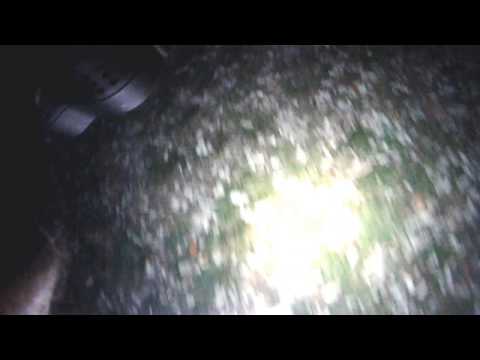 PARIS O TOUR 2014 étape 2 Parc suzanne Lenglen