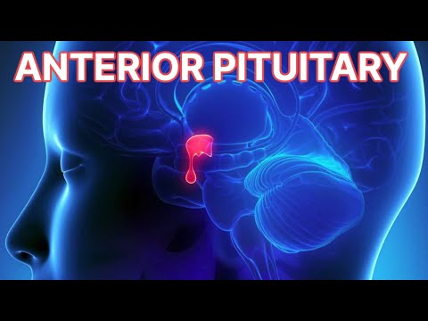 Anterior Pituitary Disorders (updated 2023) - CRASH! Medical Review Series
