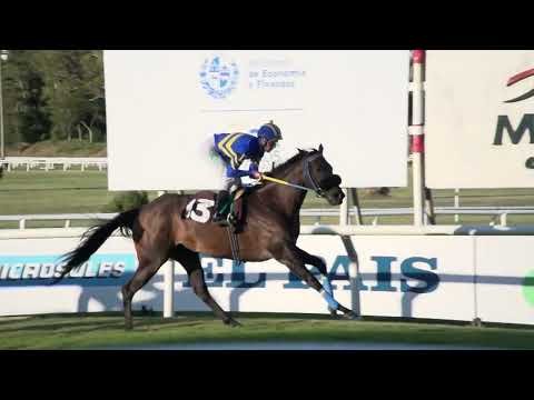 230219 c08 AFANADORA Z