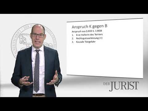 OLG Karlsruhe, Urteil vom 18. September 2019: Haftung des Tierhalters bei Hundebiss
