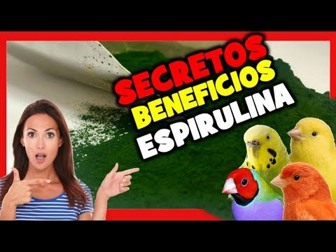 Bambina seduta sul cazzo di suo padre Alfabeto per le recensioni uomini potenza