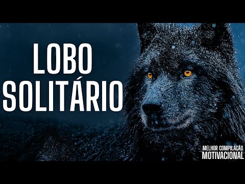 O SILÊNCIO QUE ASSUSTA TODO MUNDO: A MENTE DO LOBO SOLITÁRIO