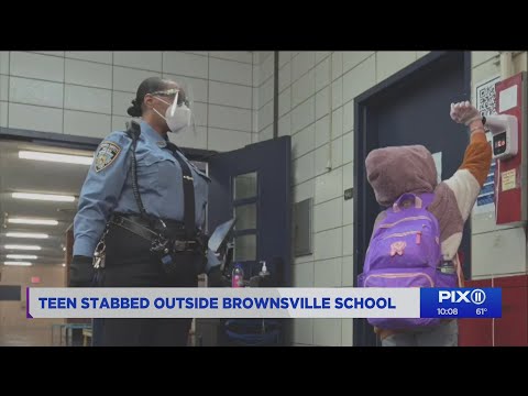 17-year-old girl stabbed during fight in front of Brooklyn high school: NYPD