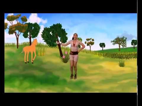 Animapaka: videoclip caballo