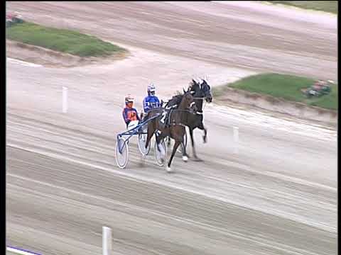 Trotto 22/04/2019 - prova di qualifica