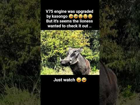v75 engine is check and confirm