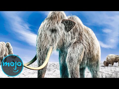 Top 10 Animals Scientists Want to Bring Back From Extinction