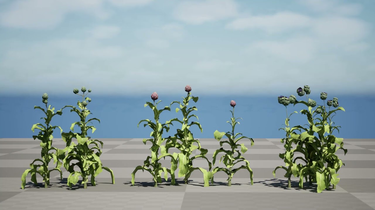 Cole&ccedil;&atilde;o realista de plantas de alcachofra em 3D Modelo 3D