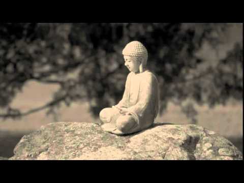 Giọt chuông Cam Lộ (Đạo ca 8) Sheet - Thái Thanh