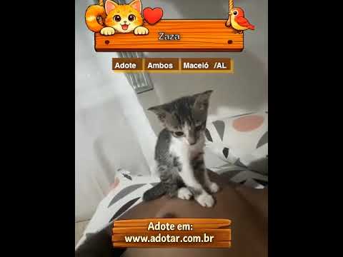 Vídeo de Zaza