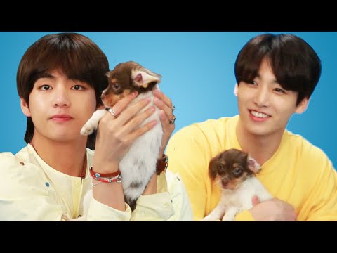 BTS Plays With Puppies While Answering Fan Questions