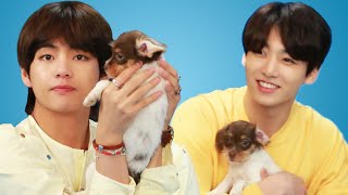 BTS Plays With Puppies While Answering Fan Questio