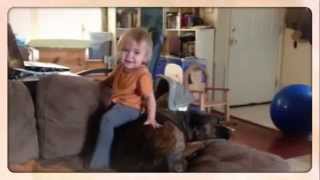 ORB &amp; Dream ~ Friends, always