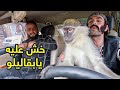 اقوي مقالب رمضان .. القرد بقاليلو 🐒 ومروض الحيوانات في كريزي تاكسي mp3