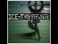 Ice-T - The Lane (E.V.A. Remix)