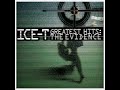 Ice-T - The Lane (E.V.A. Remix)