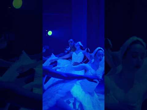 Trailer "El lago de los cisnes" - Ballet Clásico y Moderno Municipal de Asunción - mayo a junio 2025