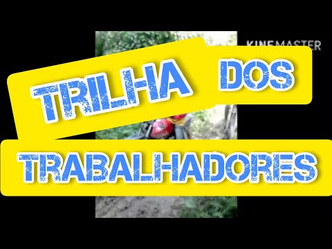 TRILHA DOS TRABALHADORES #6