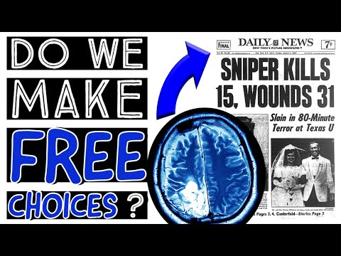 Do We Make Free Choices? (Defining Free Will) 