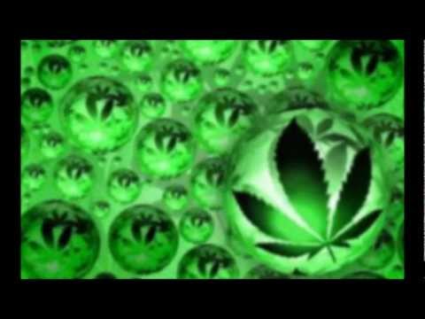 AN PE PA VIVE SAN OU Tofer feat Mina & Waysee mwn