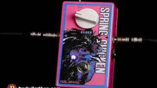 Malekko Spring Chicken Reverb - What To Know & Where To Buy | Equipboard