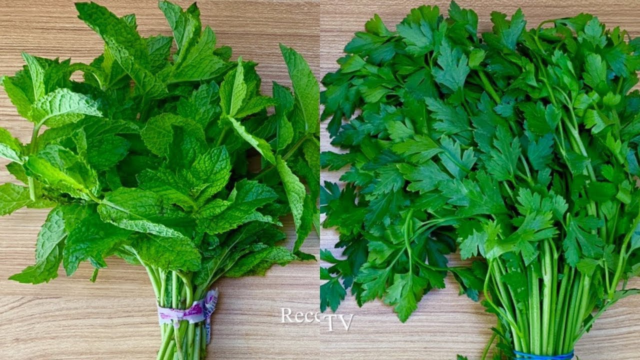 Watch Como Conservar tu Perejil y Hierba Buena hasta por 1 Año Now Como Conservar tu Perejil y Hierba Buena hasta por 1 Año