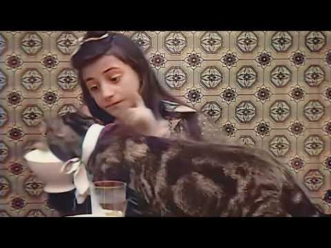 Luca Fioretti - Grooving Tha Jazz (Unofficial Music Video)