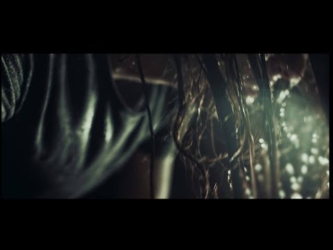Insolvency – Death Wish (Official Music Video)