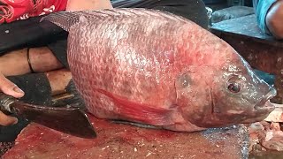 Red Tilapia Fish Cutting Skills In Fish Market | Fastest Big Fish Slicing