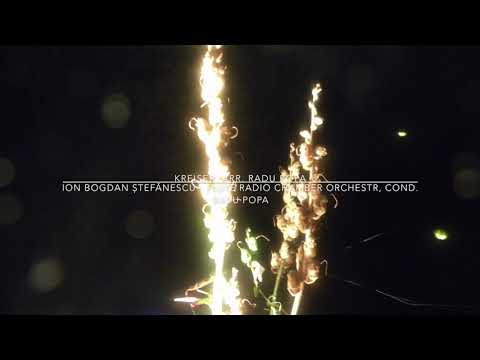 @ionbogdanstefanescu  Kreisler - Schone Rosmarin