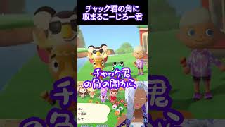 【あつ森】コージー君が角の隙間にピッタリ嵌まってる #shorts #vtuber #切り抜き