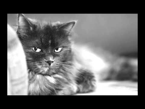 Matt Fear - Are You Being Serious (original mix)