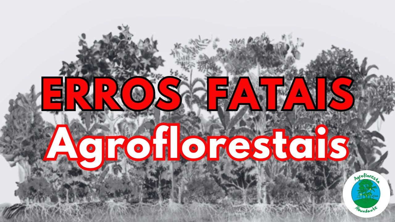 Combinações Perigosas na Agrofloresta - Segredos para Consórcios Perfeitos