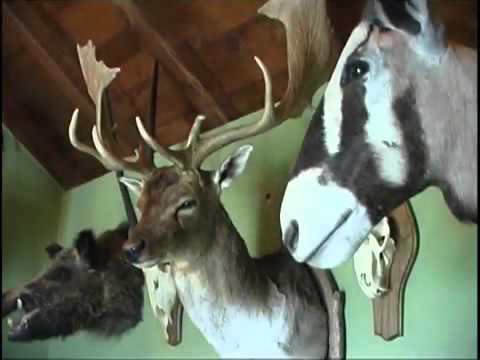 Lovački muzej u Grabovcu-Goričaj