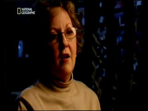 mayday alarm im cockpit - fatale ablenkung Teil 2