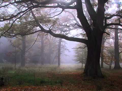 download lagu mp3 mp4 Agalloch The Melancholy Spirit, download lagu Agalloch The Melancholy Spirit gratis, unduh video klip Agalloch The Melancholy Spirit