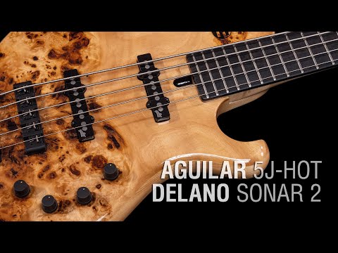 Aguilar 5J-Hot + Delano Sonar 2 - Maruszczyk Frog 5a Headless