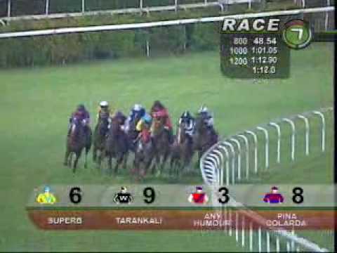 CHAIRMAN'S TROPHY 30/07/10 - THUNDERING JET