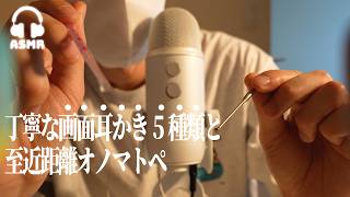 【ASMR】ゆっくり丁寧な画面耳かき5種類🌃 至近距離オノマトペ