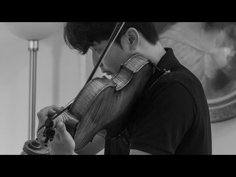 F.A. Hoffmeister viola concerto in D Major - l. Allegro con spirito