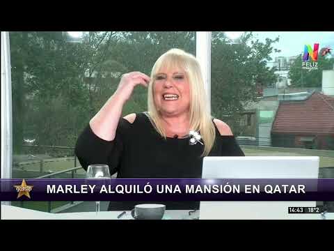 Marley y el mundial Qatar 2022