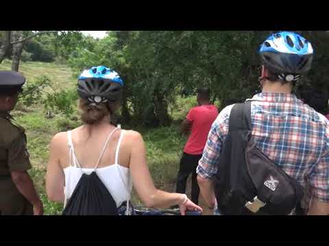 හබරණ රක්ෂිතයේ ඛේදවාචකය : මියගිය ඇතින්නන් 07 දෙනෙකුගේ සිරුරූ හමුවේ