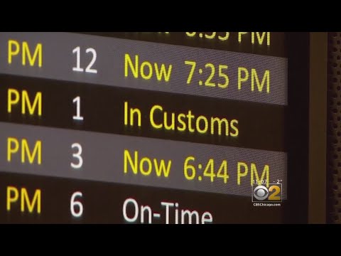 U.S. Customs Technology Glitch Causes Delays At Airports Around The Country