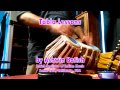Tabla Lessons by Ashwin Batish